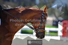 ref. photo 3551774