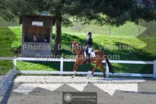 ref. photo 3551776