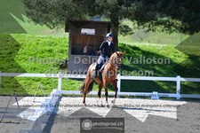 ref. photo 3551777