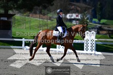 ref. photo 3551779
