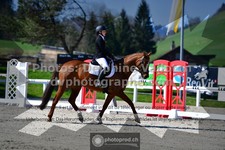 ref. photo 3551780