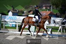 ref. photo 3551781