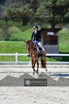 ref. photo 3551785