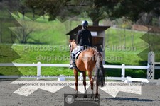 ref. photo 3551790