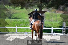 ref. photo 3551791