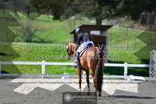 ref. photo 3551792