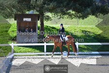 ref. photo 3551794