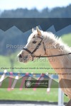 ref. photo 3551804