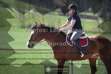 ref. photo 3551860