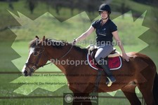 ref. photo 3551861