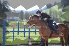 ref. photo 3551864