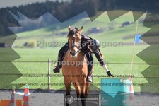 ref. photo 3551865