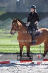 ref. photo 3551867