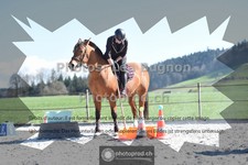 ref. photo 3551870