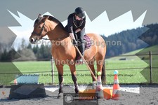 ref. photo 3551872