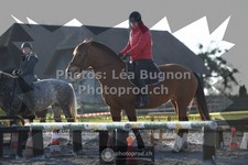 ref. photo 3551883