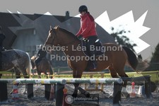 ref. photo 3551885