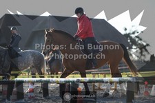 ref. photo 3551886