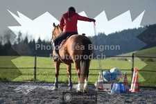 ref. photo 3551889
