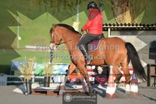 ref. photo 3551892