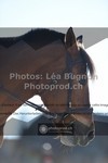 ref. photo 3551901