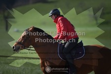 ref. photo 3551908