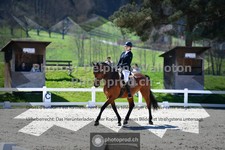 ref. photo 3551913
