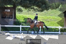 ref. photo 3551916