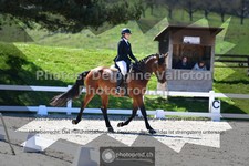 ref. photo 3551917