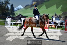 ref. photo 3551922