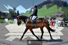 ref. photo 3551923