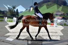 ref. photo 3551925