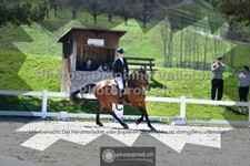 ref. photo 3551927
