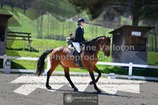 ref. photo 3551934