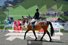 ref. photo 3551938