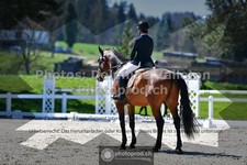 ref. photo 3551939