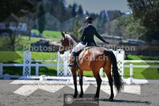 ref. photo 3551940