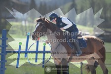 ref. photo 3551946