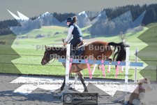 ref. photo 3551949