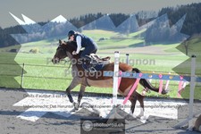 ref. photo 3551950