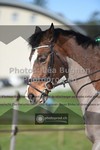 ref. photo 3551957