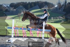 ref. photo 3551998