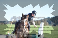 ref. photo 3552001