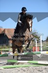 ref. photo 3552002