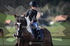 ref. photo 3552020
