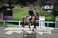 ref. photo 3552030