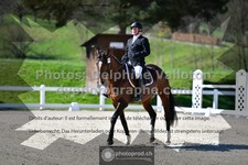 ref. photo 3552031