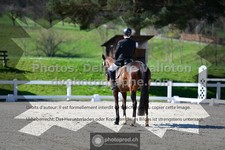 ref. photo 3552032