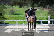 ref. photo 3552033
