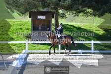 ref. photo 3552034
